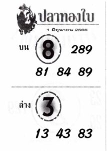 เลขหวยปลาทองใบ 1-6-66