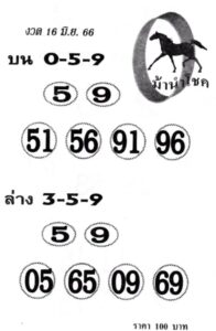 หวยดังเลขม้านำโชค 16-6-66